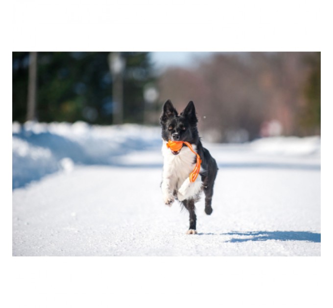 Іграшка для собак Liker Line М'ячик зі стрічкою 7 см (6287)