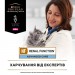 Вологий корм для кішок Purina Pro Plan Veterinary Diets NF Renal Function Advanced Care При патології нирок З лососем 10 x 85 г (7613287873699)
