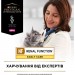 Сухий корм для кішок Purina Pro Plan Veterinary Diets NF Renal Function Early Care При хворобі нирок на ранніх стадіях 350 г (7613287882219)