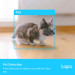 TP-Link Камера відеоспостереження TP-Link TAPO-C225