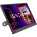 ASUS Монітор ASUS ZenScreen MB169CK