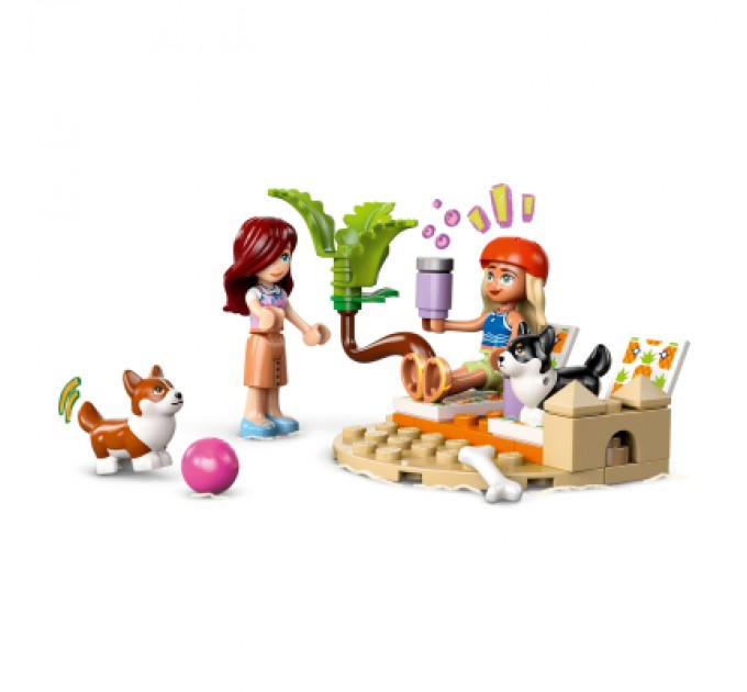 Конструктор LEGO Friends Собачі пригоди на серфі та скутері (42641)