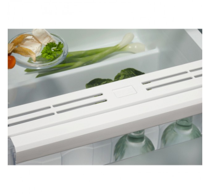 Холодильник Electrolux ERD6DE18S4