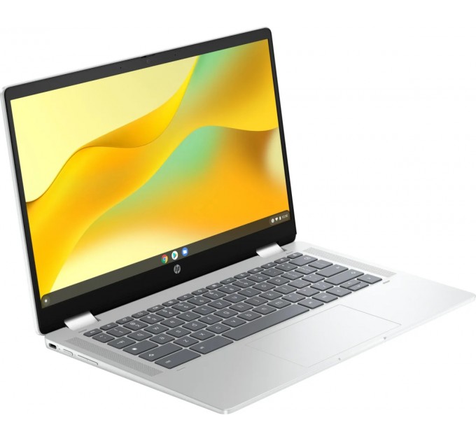 Ноутбук HP Chromebook x360 (198828598608) Silver