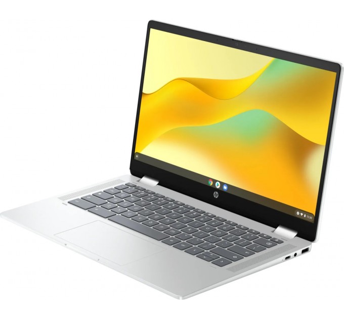 Ноутбук HP Chromebook x360 (198828598608) Silver