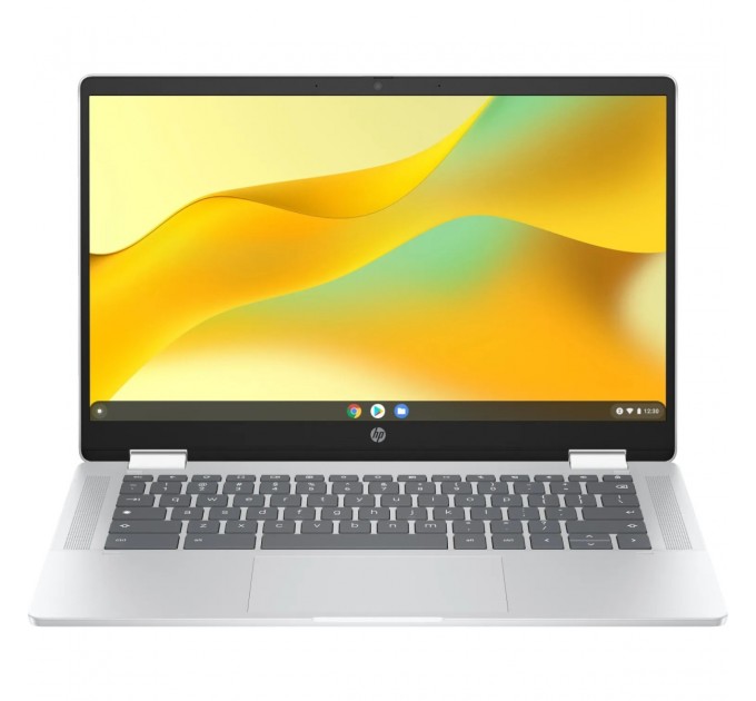 Ноутбук HP Chromebook x360 (198828598608) Silver