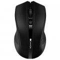 Canyon Мишка Canyon MW-5 Wireless Black (CNE-CMSW05B)