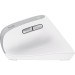 Trust Миша бездротова Trust Bayo II Ergonomic White (25398)