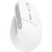Trust Миша бездротова Trust Bayo II Ergonomic White (25398)