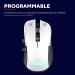 Trust Мишка Trust GXT923 YBAR Wireless White (24889)