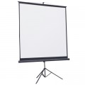 Проекційний екран Atria TRM-NTSC-60D