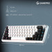 GamePro Клавіатура GamePro Asgard Valhalla MK210W Pro 65 RGB Wireless/Bluetooth/USB White (MK210W Pro)