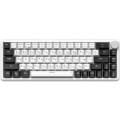 GamePro Клавіатура GamePro Asgard Valhalla MK210W Pro 65 RGB Wireless/Bluetooth/USB White (MK210W Pro)