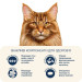 Home Food Сухий корм для кішок Home Food For large breeds з телятиною, лососем та в’яленими томатами 400 г (4820235021009)