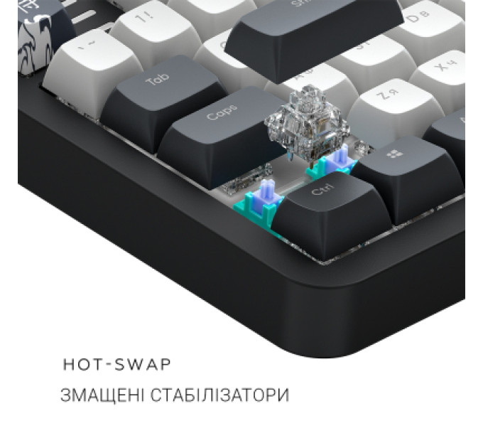 Dark Project Клавіатура Dark Project ALU87 Bushido ABS RGB Mech G3MS Moonstone Black/White (DPKB_BUSHIDO_87_ANSI_UA)