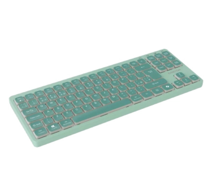 Canyon Клавіатура Canyon OnType 10 TKL Mechanical Silent Low-profile USB UA Green (CNS-HKB10GR)