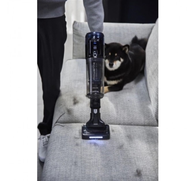 Пилосос Rowenta RH9C71E0