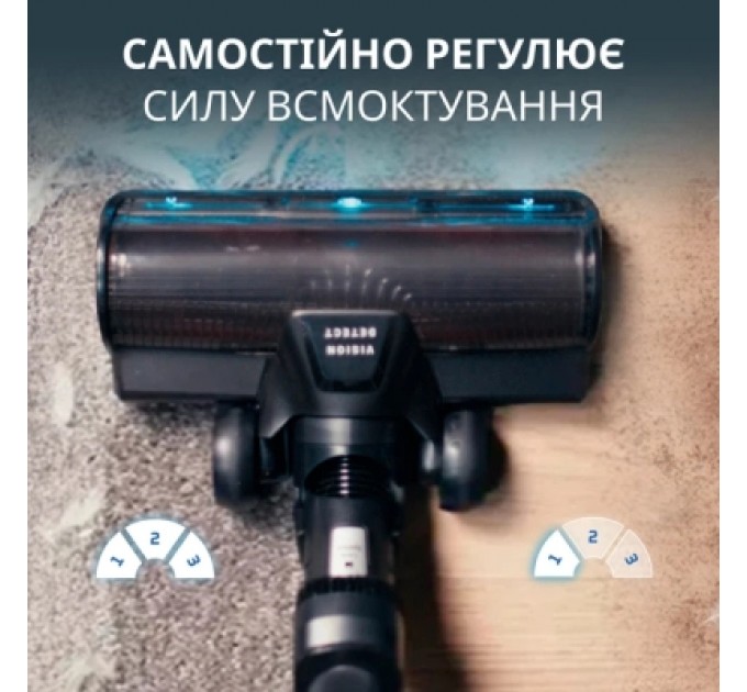 Пилосос Rowenta RH9C71E0