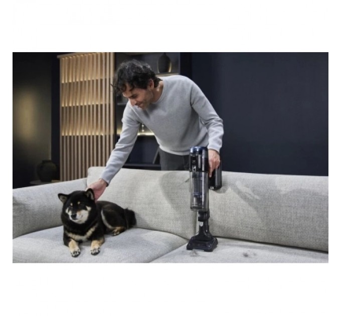 Пилосос Rowenta RH9C71E0