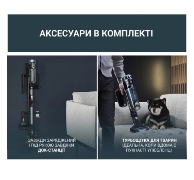 Пилосос Rowenta RH9C71E0