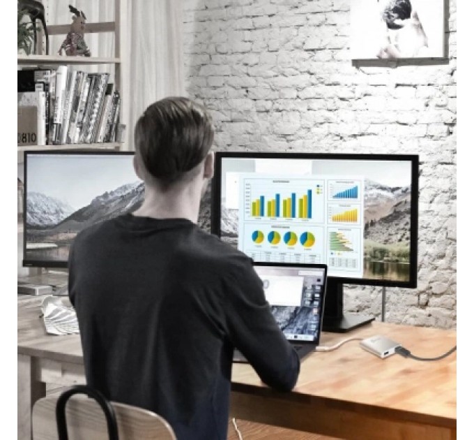 Адаптер USB-A to 2xHDMI F dual display J5create (JUA365-N)