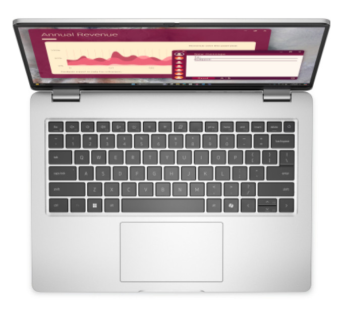 Dell Ноутбук Dell Pro 14 (BTO106PC14250UA_W11P)