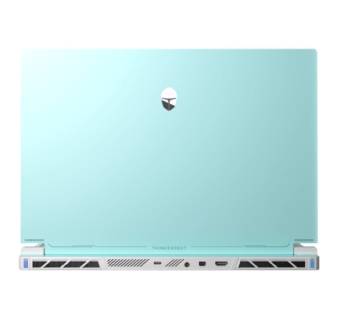 Thunderobot Ноутбук Thunderobot RS16 (RS16-I9139HX56E1Q240ARC)