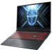 Thunderobot Ноутбук Thunderobot R16 (R16-i7136HX56C1Q180RG)