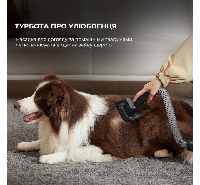 Акумуляторний пилосос Dreame Z30 Animal (VZV17A)