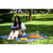 Ardesto Плед Ardesto Picnic 130х170см, 100% поліестер, клітинка синій (ART0916BC)