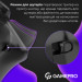 GamePro Геймпад GamePro із зарядною станцією BT 5.3/USB/2.4 ГГц (Switch/PC/iOS/Android) RGB Black (GPX13BDOC)