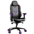 1stPlayer Крісло для геймерів 1stPlayer F.A.S.T.