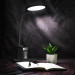 Mealux Настільна лампа Mealux DL-420 (BL-1136B Black)
