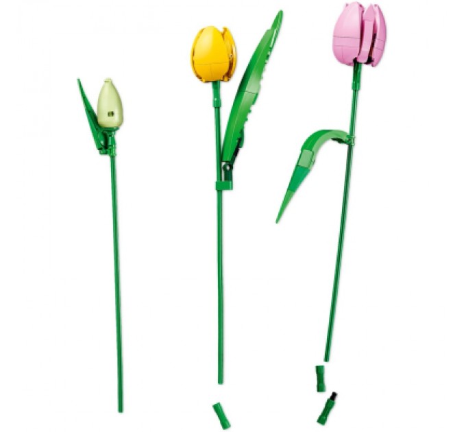 Конструктор LEGO Botanicals Букет тюльпанів (11501)