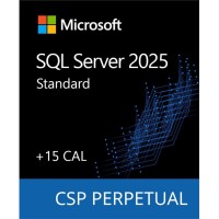 ПЗ для сервера Microsoft SQL Server 2025 Standard Edition and 15 CAL Pack, Commercial, Perpetual (DG7GMGF0VNH6_0001)
