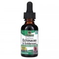 Трави Nature's Answer Ехінацея та Жовтокорінь (Гідрастис), без спирту, Echinacea & Go (NTA-00759)