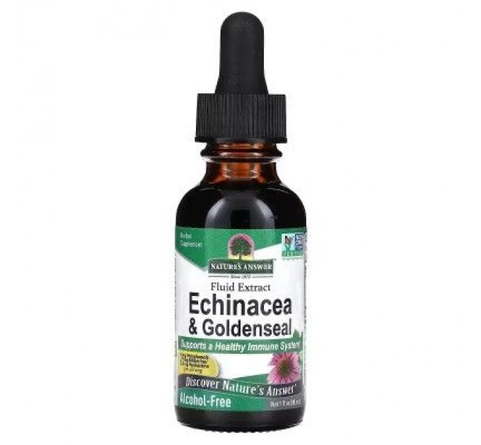 Трави Nature's Answer Ехінацея та Жовтокорінь (Гідрастис), без спирту, Echinacea & Go (NTA-00759)