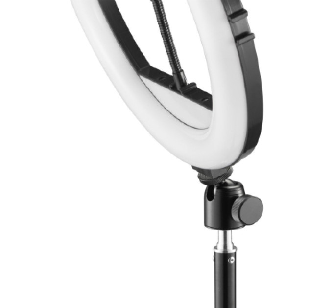 Hama Набір блогера Hama Smartphone Tripod Steady-120 V2, 185см, Bluetooth, LED ring (00004659)