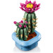 LEGO Конструктор LEGO Botanicals Цвітіння кактуса (11509)