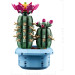 LEGO Конструктор LEGO Botanicals Цвітіння кактуса (11509)