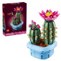 LEGO Конструктор LEGO Botanicals Цвітіння кактуса (11509)