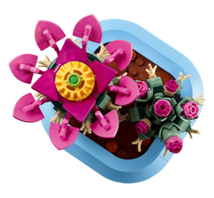 LEGO Конструктор LEGO Botanicals Цвітіння кактуса (11509)