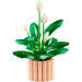 LEGO Конструктор LEGO Botanicals Спатифілум (11504)
