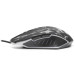 Hölmer Мишка Hölmer M-01GS USB Black (M-01GS)