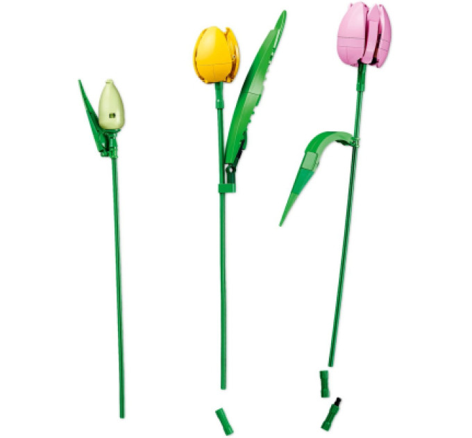 LEGO Конструктор LEGO Botanicals Букет тюльпанів (11501)