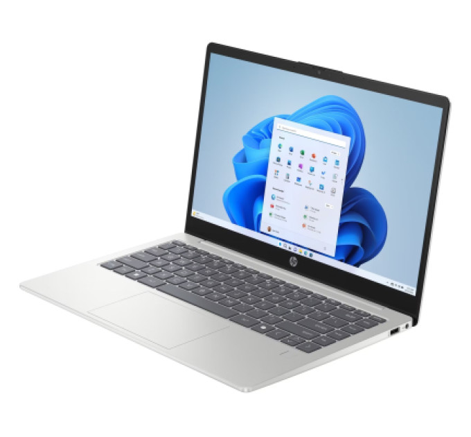 HP Ноутбук HP 240R G10 (CJ2Q4AT)