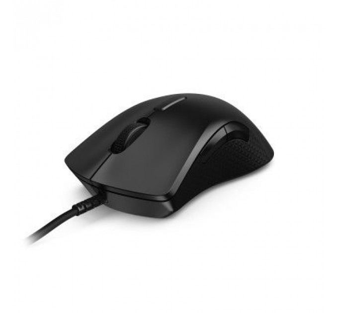 Мишка Lenovo M300 RGB Black (GY50X79384)