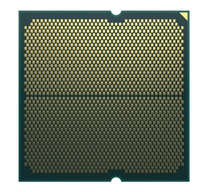 Процесор AMD Ryzen 7 7700 (100-100000592SPK)