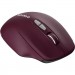 Canyon Мишка Canyon MW-21 Wireless Blue LED Burgundy (CNS-CMSW21BR)