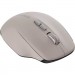 Canyon Мишка Canyon MW-21 Wireless Blue LED Cosmic Latte (CNS-CMSW21CL)
